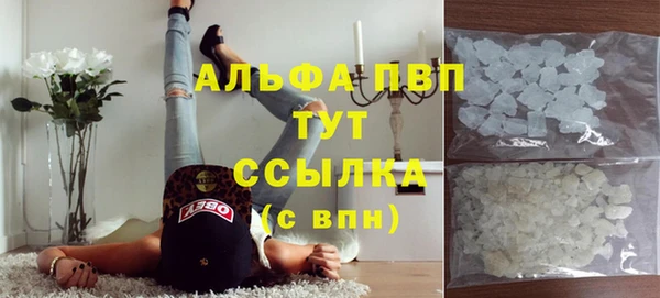 круглые Иннополис