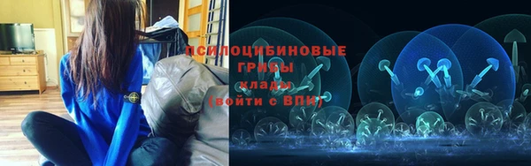 Альфа ПВП Инсар