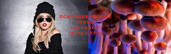 Альфа ПВП Инсар