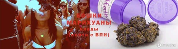 Альфа ПВП Инсар