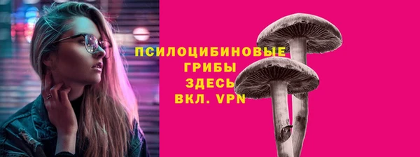 круглые Иннополис