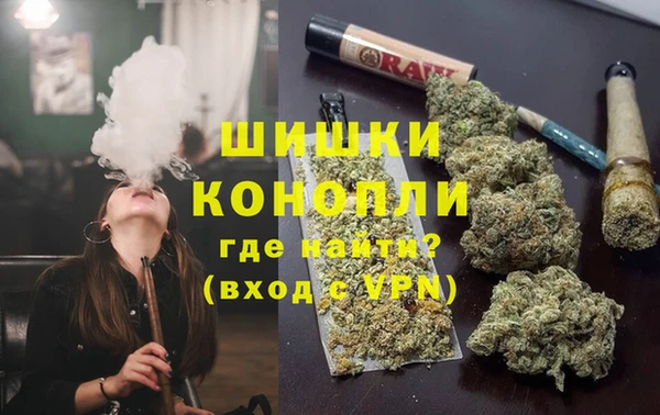 Альфа ПВП Инсар