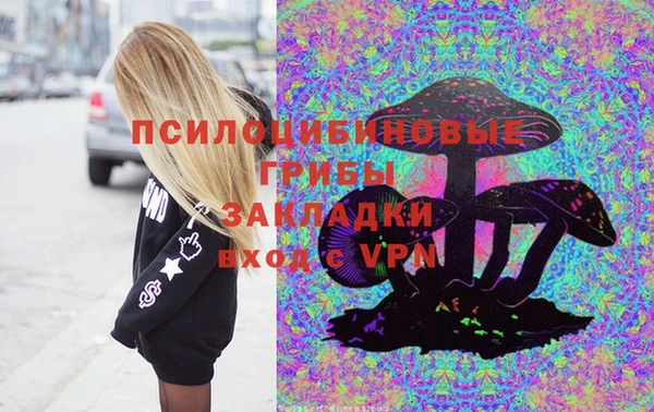Альфа ПВП Инсар