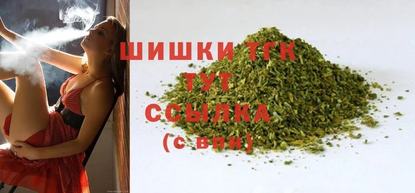 Альфа ПВП Инсар
